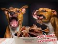 Сушеное кроличье и говяжье мясо для собак. По оптовым ценам в розницу!