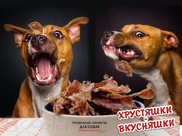 Сушеное кроличье и говяжье мясо для собак. По оптовым ценам в розницу!